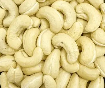 Jumbo Cashew
