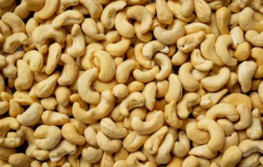 Standard Cashew