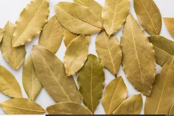 Bay Leaf - Image 1