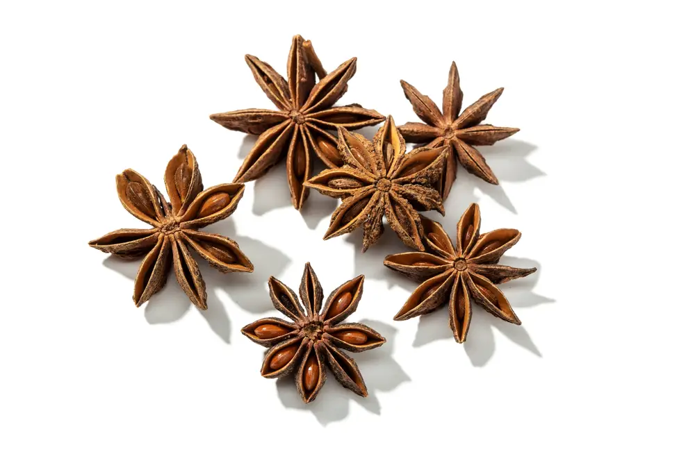 Star Anise - Image 1