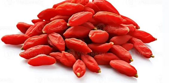 Goji Berry - Image 1